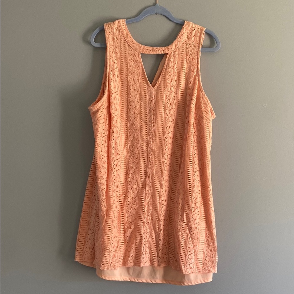 Plus Size Lace Overlay Dress